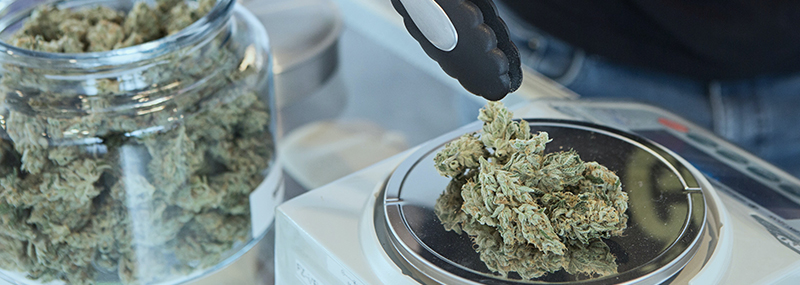Cannabis Business Loans Part 1