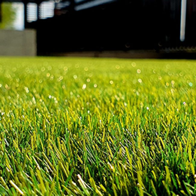 Business Loans for Lawn and Garden Companies Clear Skies Capital®